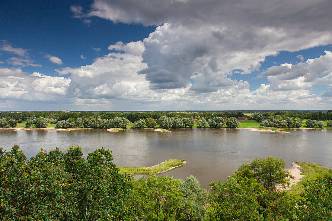  View over the Elbe to Besandten, Elbe River Landscape Biosphere Reserve, Lower Saxony, Germany 