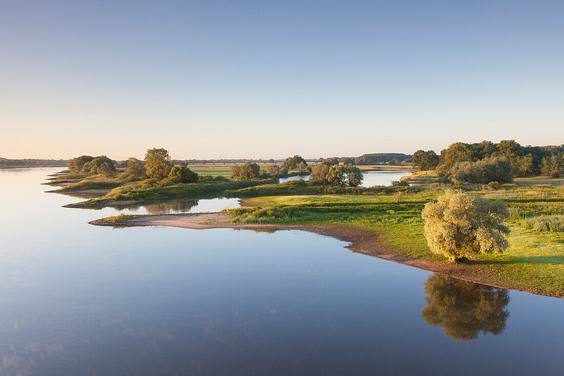  View of the Elbe, Elbe River Landscape Biosphere Reserve, Lower Saxony, Germany 