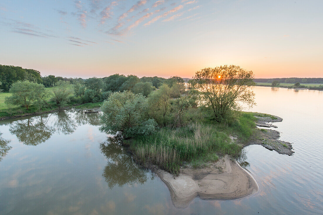  Morning mood on the Elbe, Elbe River Landscape Biosphere Reserve, Lower Saxony, Germany 