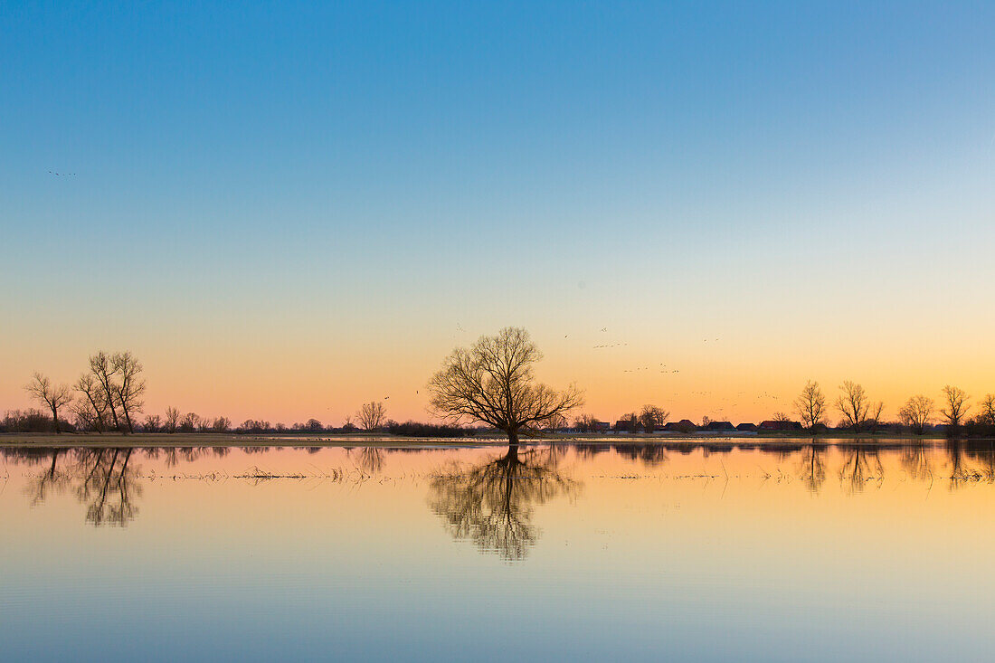 Sonnenuntergangsstimmung in der Elbtalaue, Hochwasser, Biosphärenreservat Elbtalaue, Niedersachsen, Deutschland