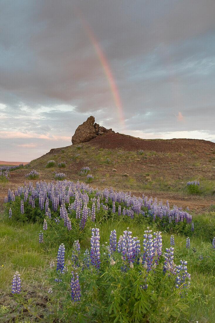  Rain clouds over the landscape at Lake Prestholalon, Nordurland eystra, Iceland 