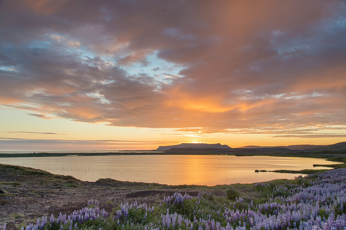  View of Lake Prestholalon, Nordurland eystra, Iceland 