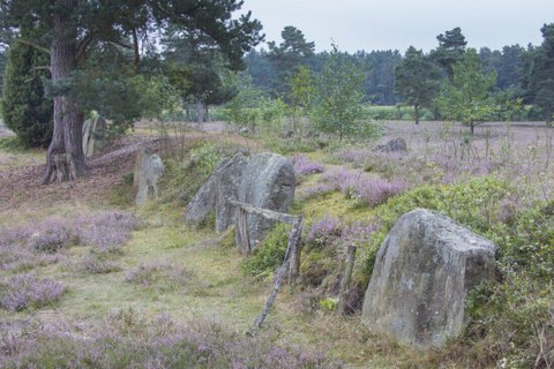  Oldendorfer Totenstatt, large stone graves, cultural monument, Amelinghausen, Lueneburg Heath, Lower Saxony, Germany 