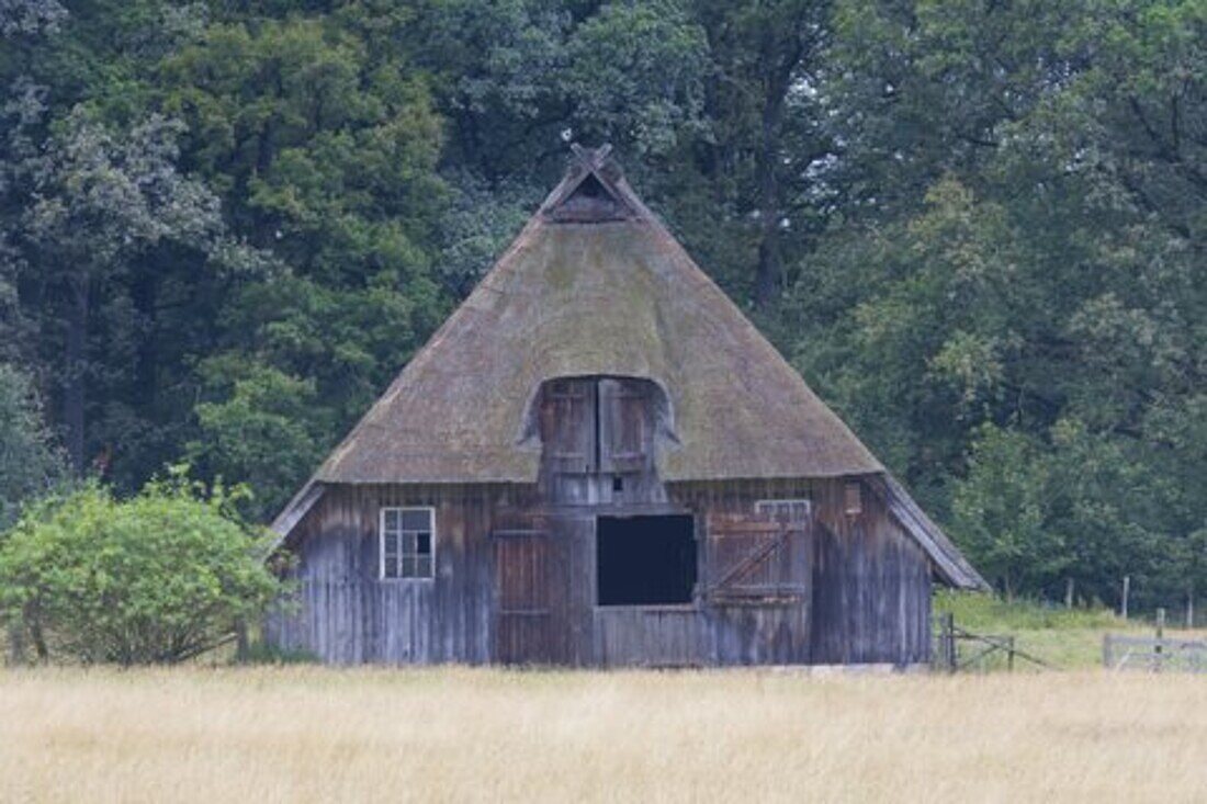  Sheepfold, Lueneburg Heath, Lower Saxony, Germany 