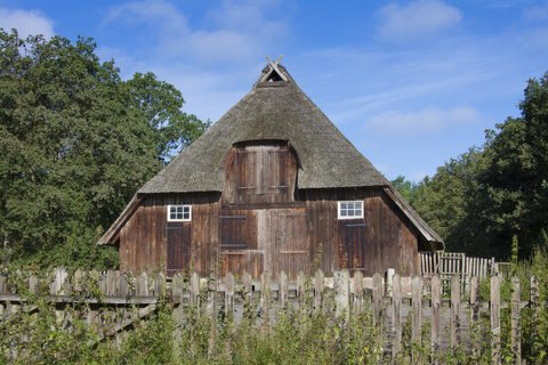  Sheepfold, Lueneburg Heath, Lower Saxony, Germany 