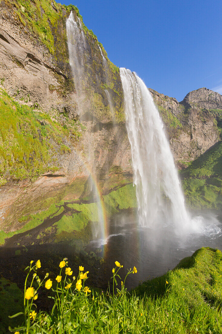  Seljalandsfoss, 66m high waterfall, summer, Iceland 