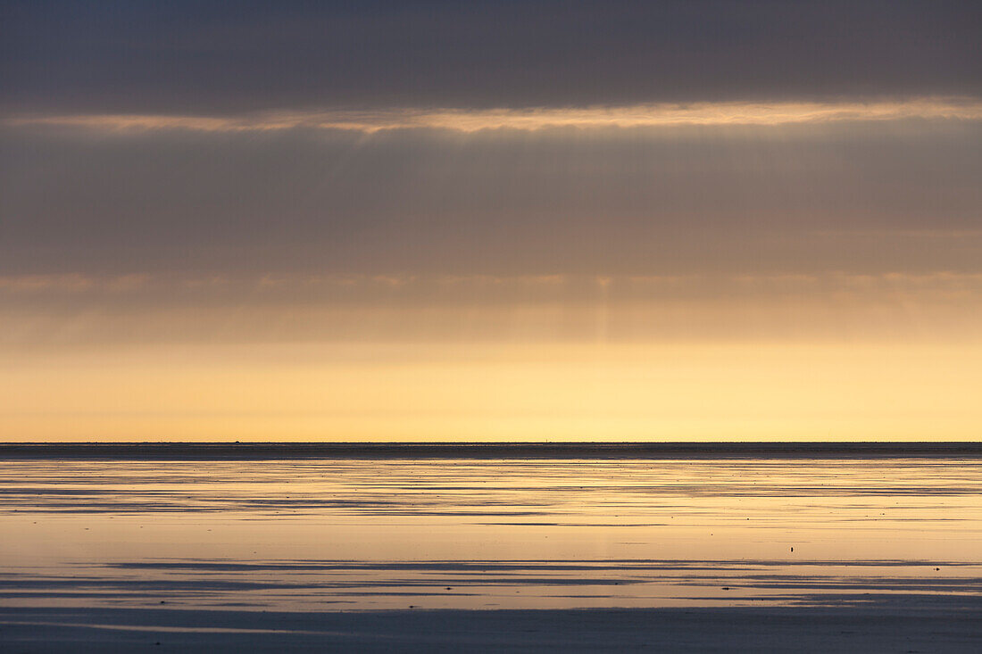  Evening atmosphere in the mudflats, Wadden Sea National Park, North Friesland, Schleswig-Holstein, Germany 