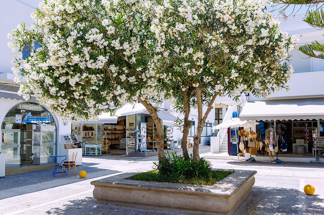  Center of Kardamena on the island of Kos in Greece 