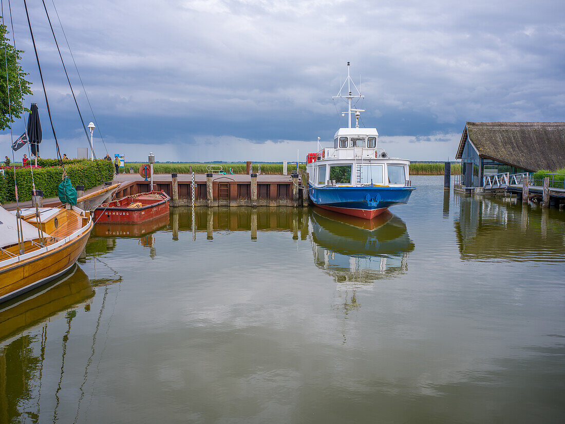  Port of Zingst, Zingst, Baltic Sea, Fischland, Darß, Vorpommern-Rügen district, Mecklenburg-Vorpommern, Western Pomerania region, Germany, Europe 