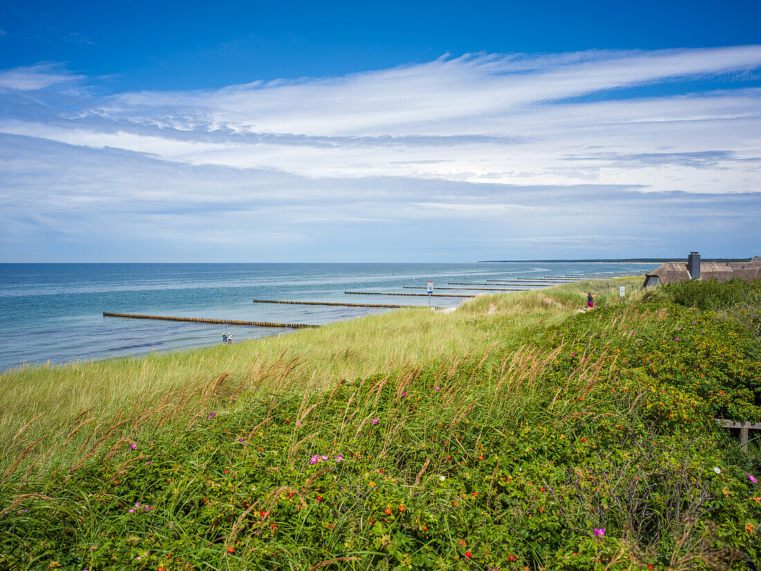  On the beach of Ahrenshoop, Ahrenshoop, Baltic Sea, Fischland, Darß, Zingst, Vorpommern-Rügen district, Mecklenburg-Vorpommern, Western Pomerania region, Germany, Europe 