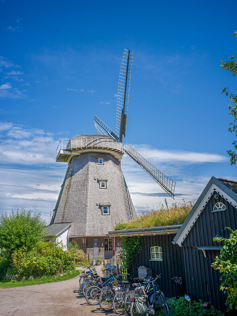  Windmill, Ahrenshoop, Baltic Sea, Fischland, Darß, Zingst, Vorpommern-Rügen district, Mecklenburg-Vorpommern, Western Pomerania region, Germany, Europe 