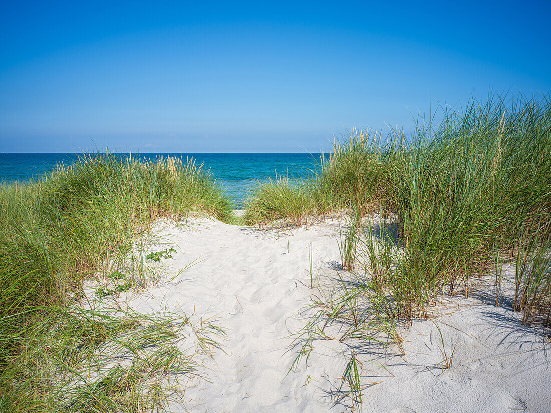 Am Darßer Weststrand, Ahrenshoop, Prerow, Ostsee, Fischland, Darß, Zingst, Mecklenburg-Vorpommern, Landesteil Vorpommern, Deutschland, Europa