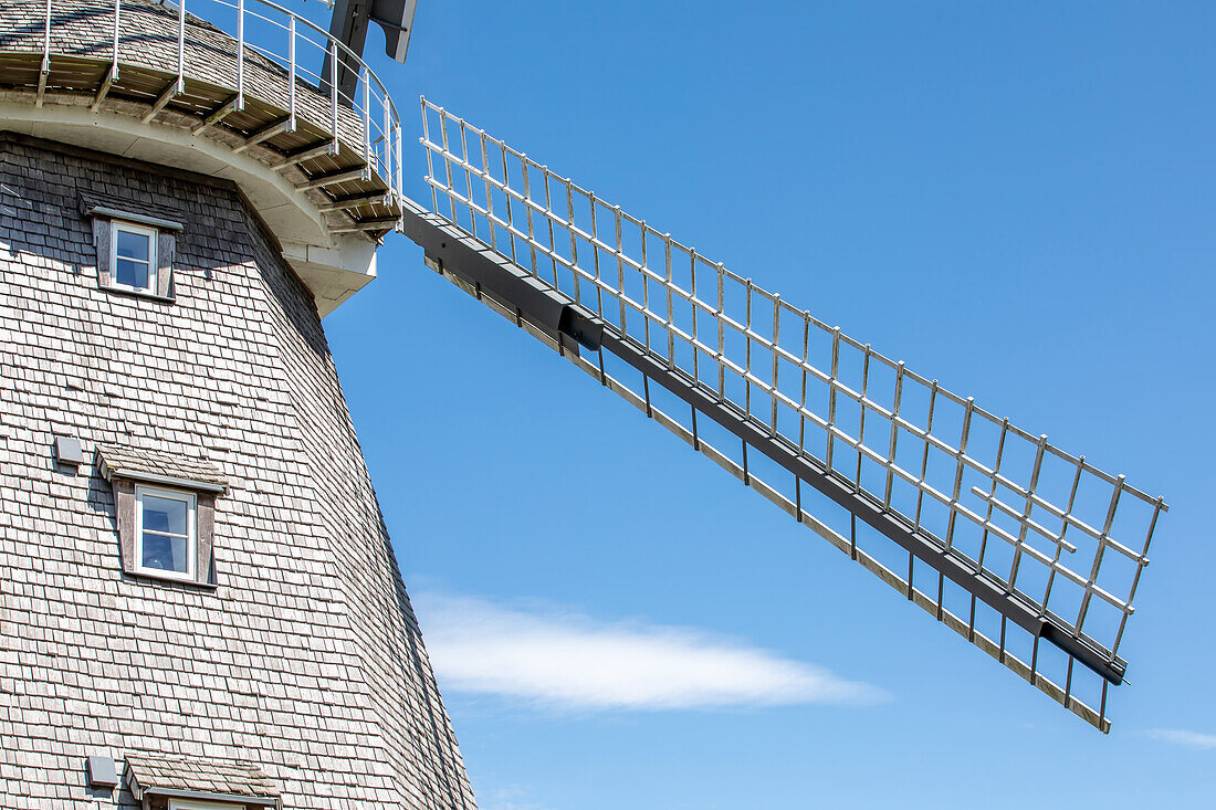 Detailansicht der Windmühle, Ahrenshoop, Ostsee, Fischland, Darß, Zingst, Mecklenburg-Vorpommern, Landesteil Vorpommern, Deutschland, Europa