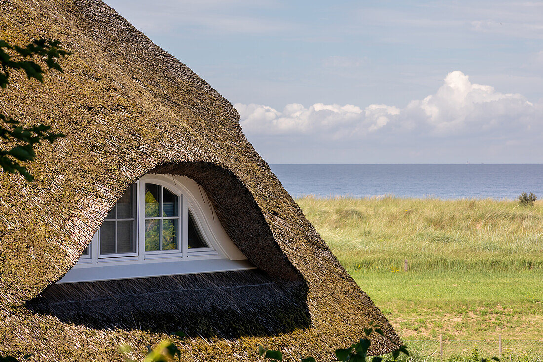 Windmühle hinter einem traditionell reetgedecktem Haus, Ahrenshoop, Ostsee, Fischland, Darß, Zingst, Mecklenburg-Vorpommern, Landesteil Vorpommern, Deutschland, Europa