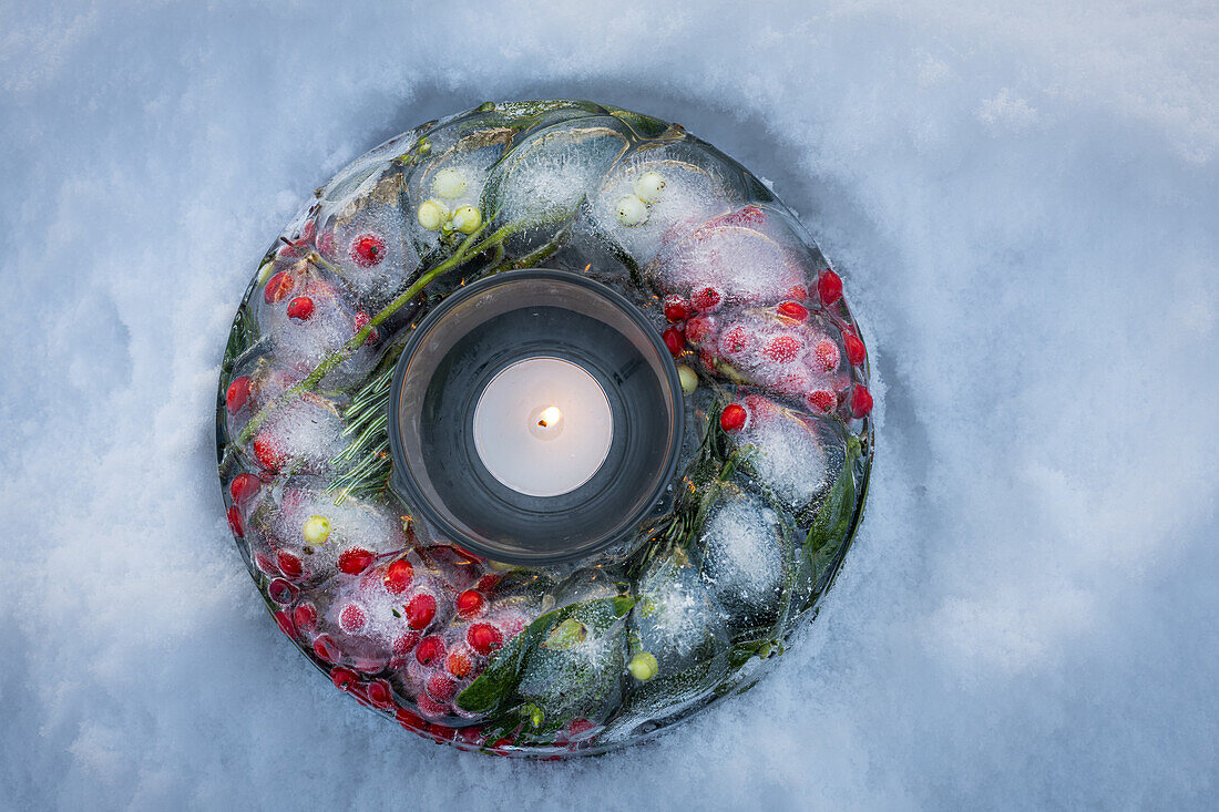 Weihnachtsdekoration mit Eisring in Kuchenform, gefüllt mit Stechpalme, Mistel, Zapfen und Nadeln im Schnee