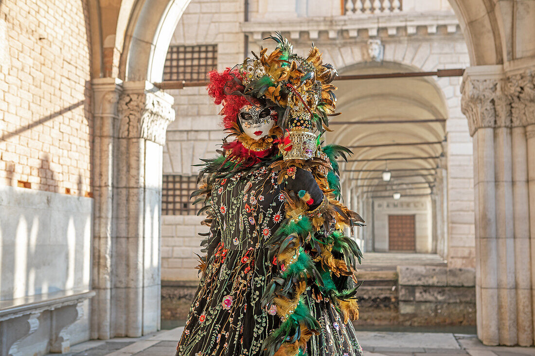  Mask next to the Doge&#39;s Palace at the Carnival in Venice, Venice, Veneto, Northern Italy, Italy, Europe 