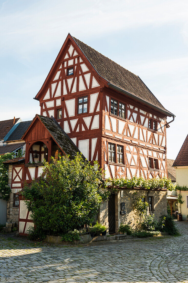  Medieval wine-growing village with half-timbered houses, Sommerhausen, Mainfranken, Lower Franconia, Franconia, Bavaria, Germany 