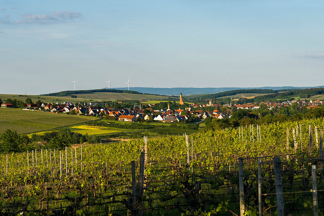 Mittelalterliches Winzerdorf in den Weinbergen, Volkach, Mainfranken, Unterfranken, Franken, Bayern, Deutschland