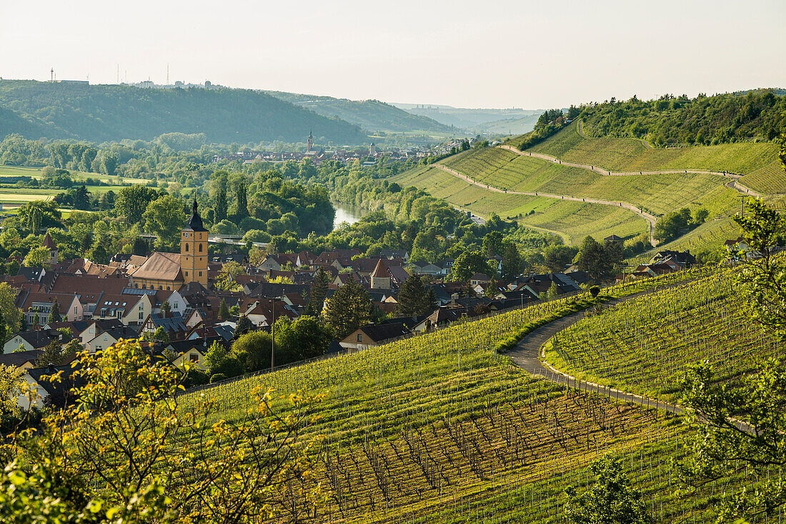 Mittelalterliches Winzerdorf mit Fachwerkhäusern, Sonnenuntergang, Sommerhausen, Mainfranken, Unterfranken, Franken, Bayern, Deutschland