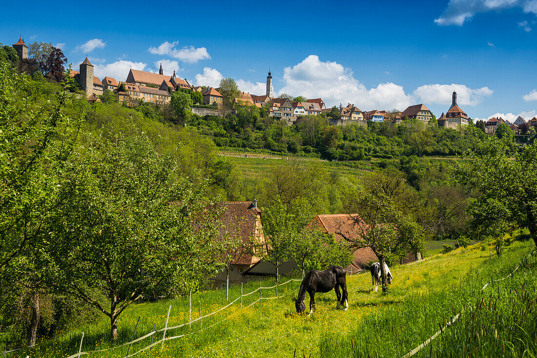  Medieval town, Rothenburg ob der Tauber, Tauber, Romantic Road, Franconia, Bavaria, Germany 