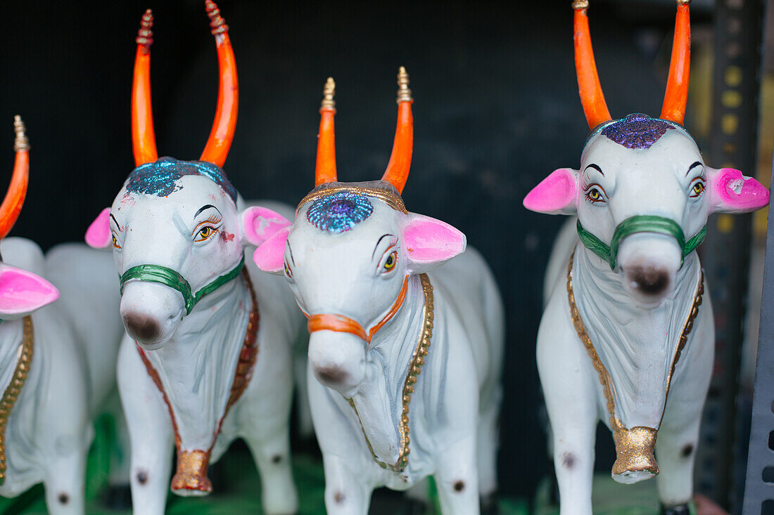 Pune, India, Cow statues, worship,