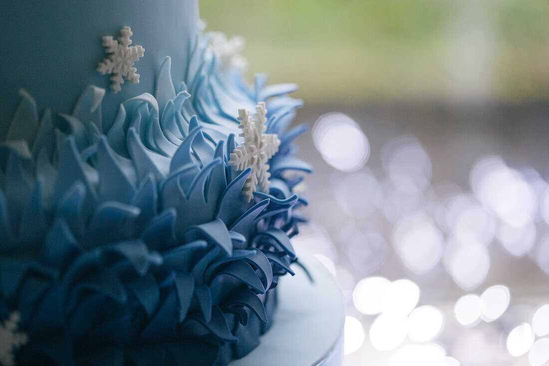 the Netherlands, Birthday cake, The Movie Frozen theme