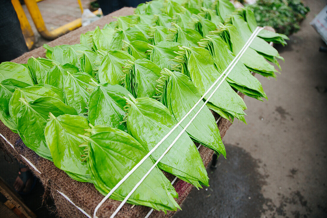 Pune, Indien, Käferblatt zum Essen, genannt Paan