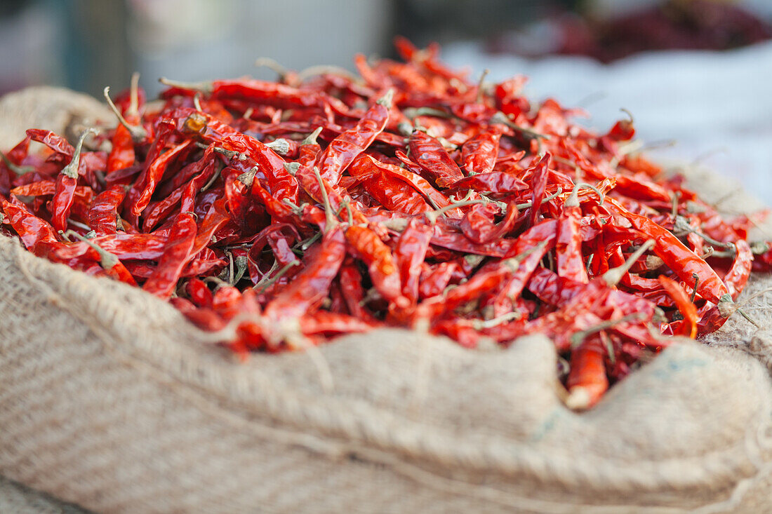 Pune, India Red chilli