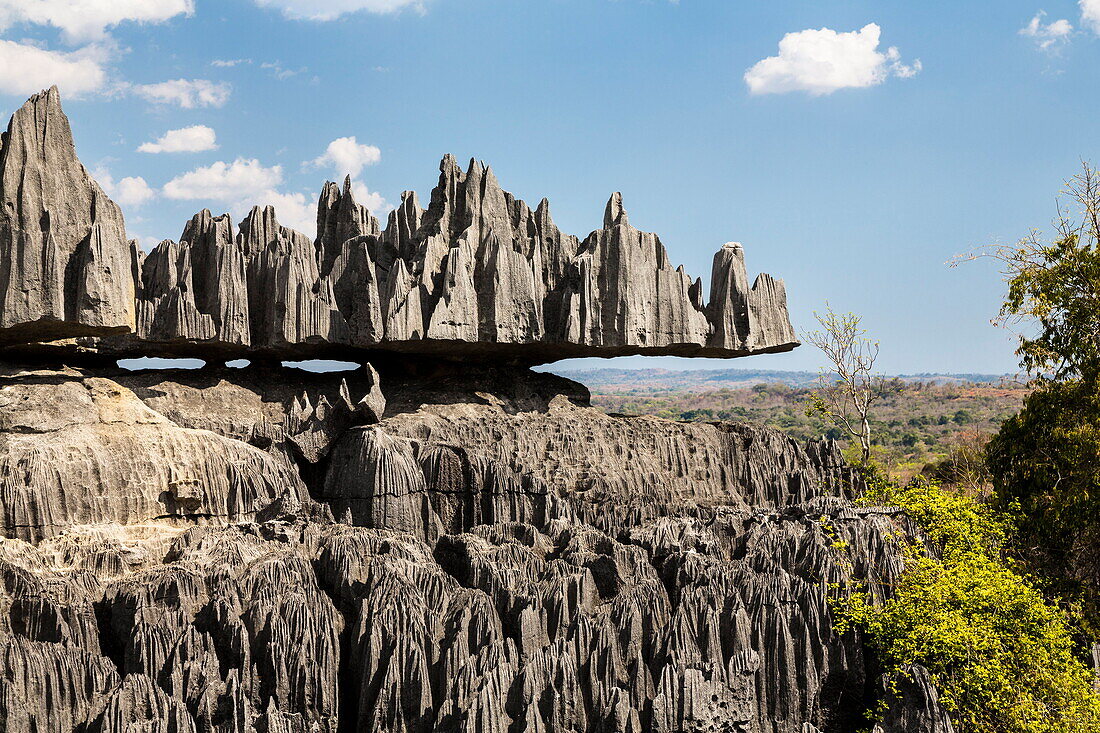  Erodierte Kalksteinfelsen, Nationalpark Tsingy de Bemaraha, Mahajanga, Madagaskar 