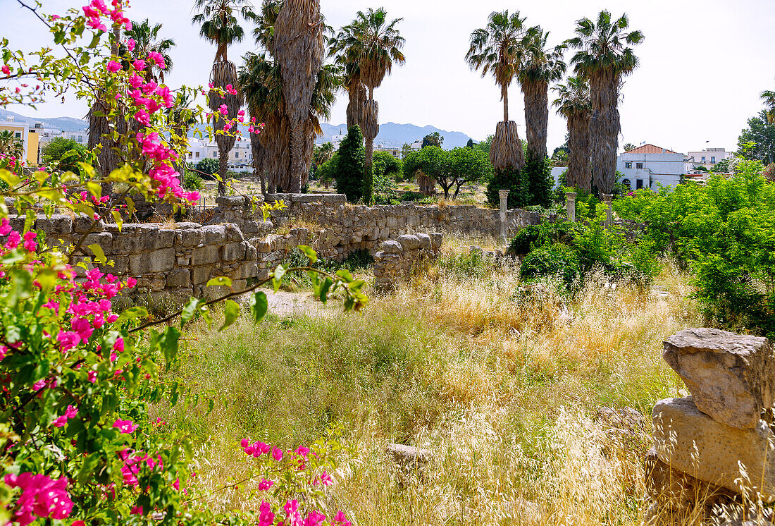 Ruinengelände der Agora in Kos-Stadt auf der Insel Kos in Griechenland