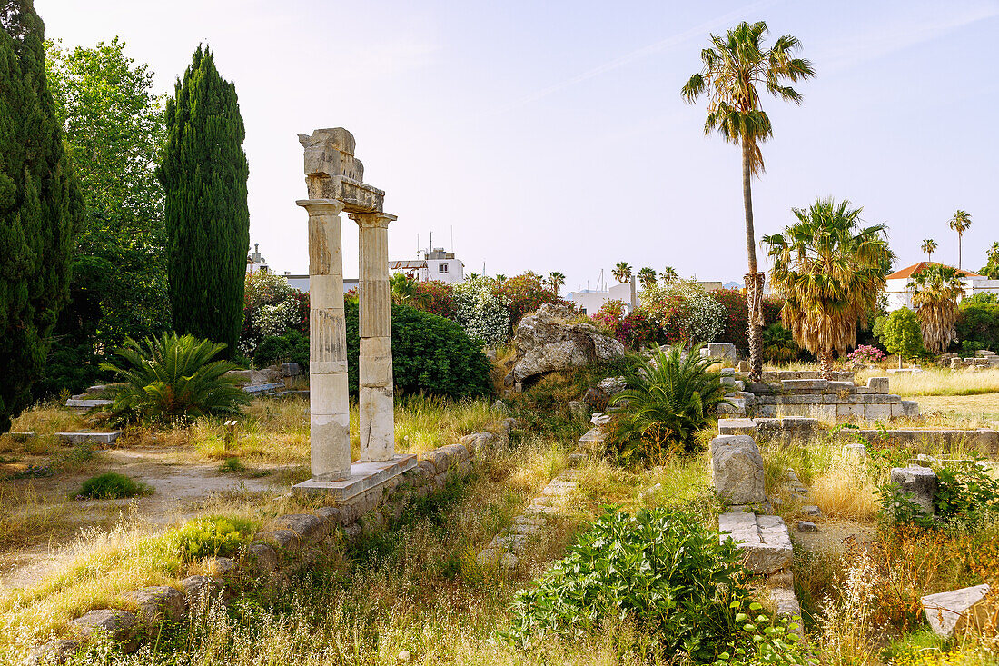 antike Säulen und Gebäudereste auf dem Ruinengelände der antiken Agora in Kos-Stadt auf der Insel Kos in Griechenland