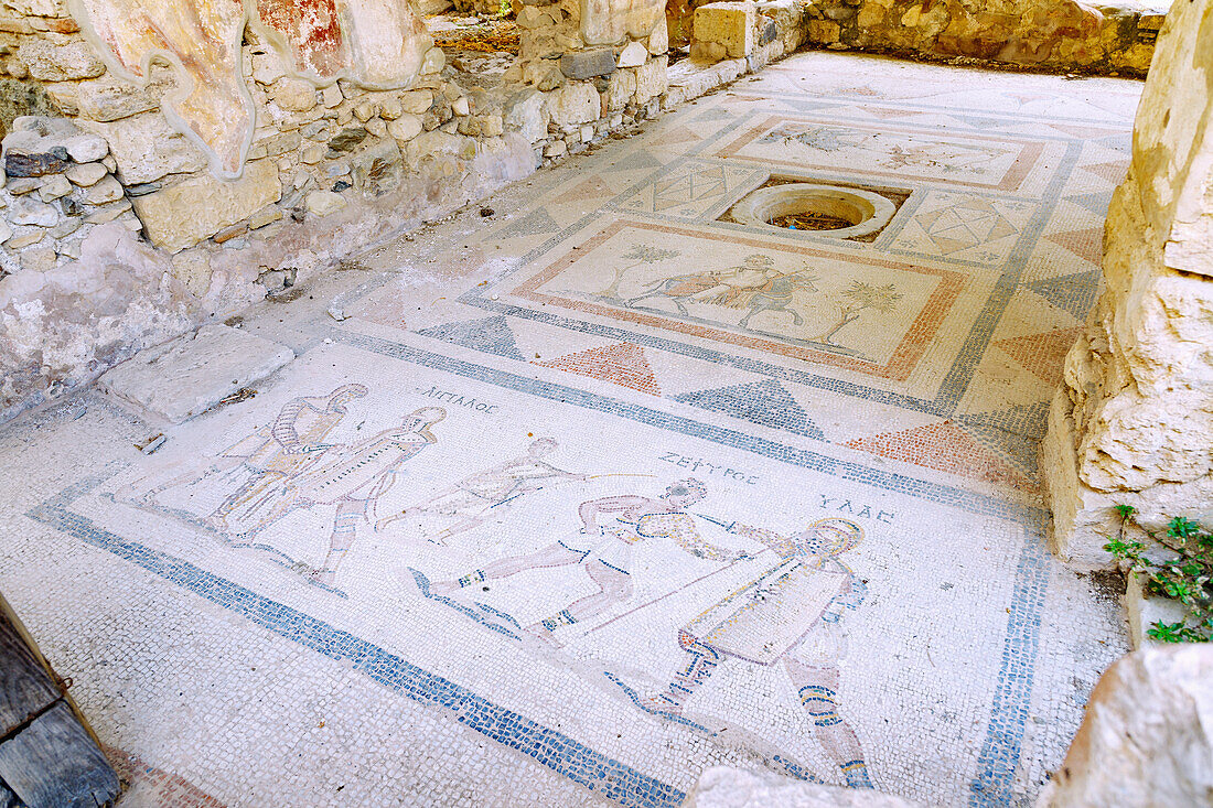  Western archaeological site in Kos Town on the island of Kos in Greece: floor mosaic with fighting gladiators named Aigialos, Zephyros and Ylas 