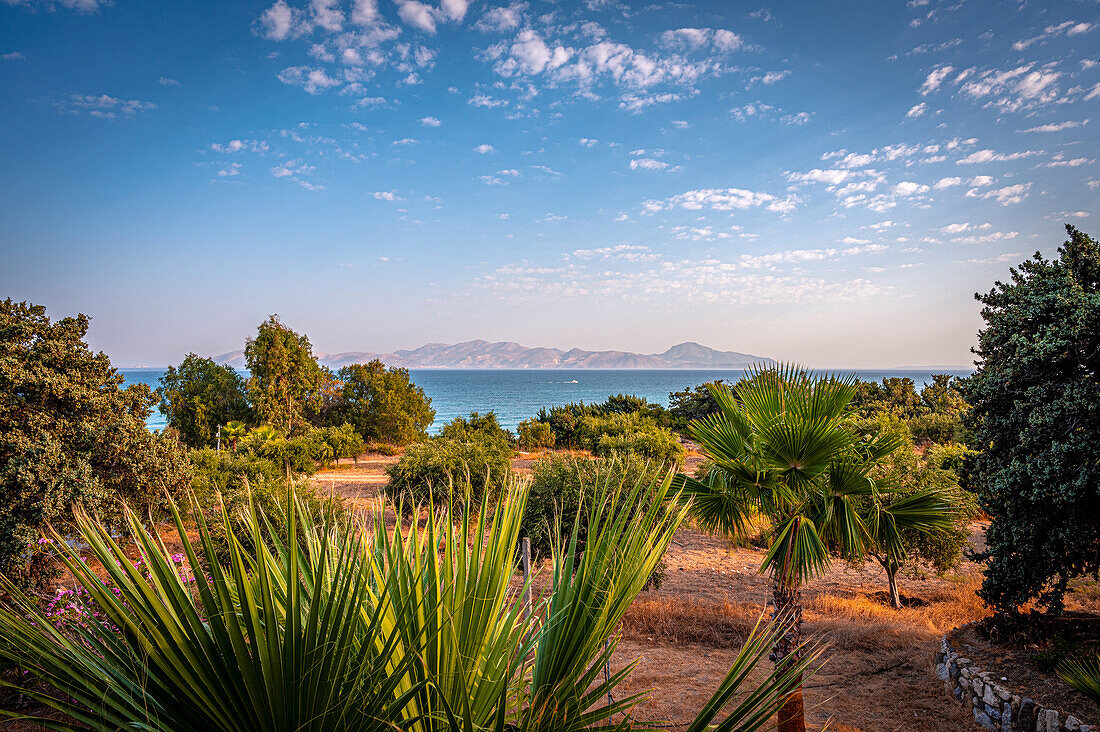  View of palm trees and the island of Kalymnos in summer with blue sky, Mastichari, Kos, Greece 