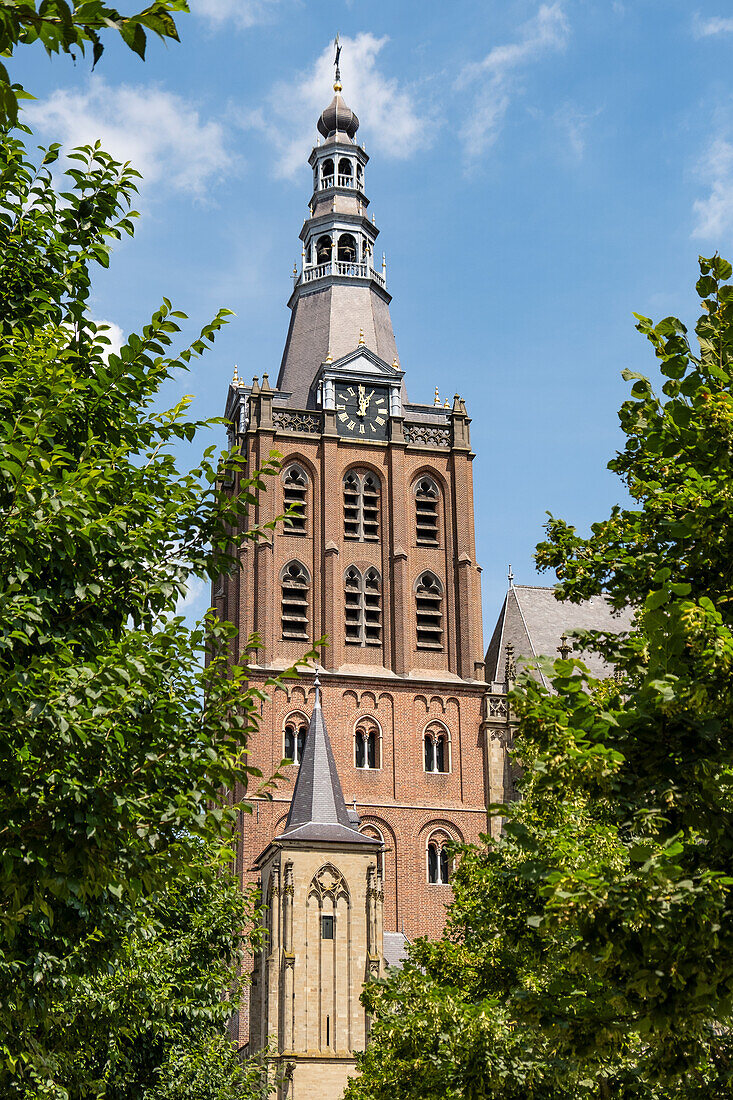 Die St.-Johannis-Kathedrale im niederländischen 's-Hertogenbosch, im Sommer durch üppig grüne Bäume gesehen, Niederlande