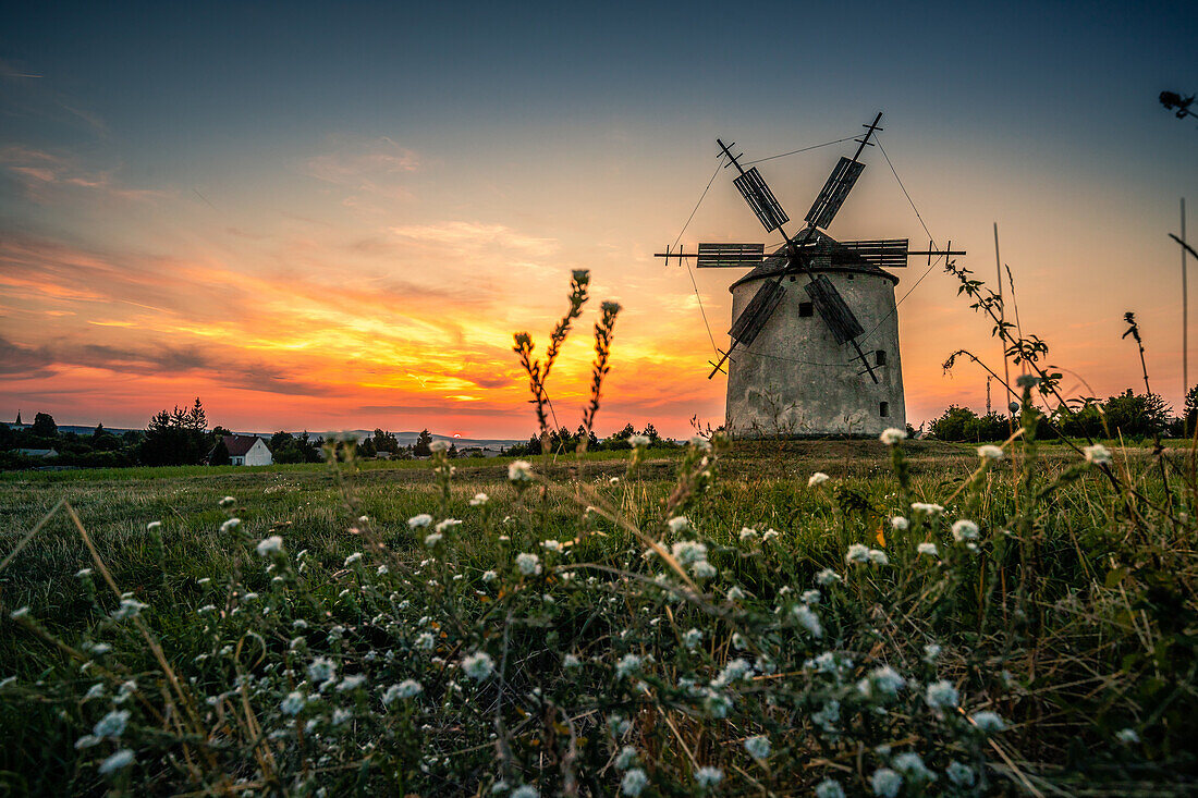  Windmill in Tés, Balaton, Hungary, Europe 