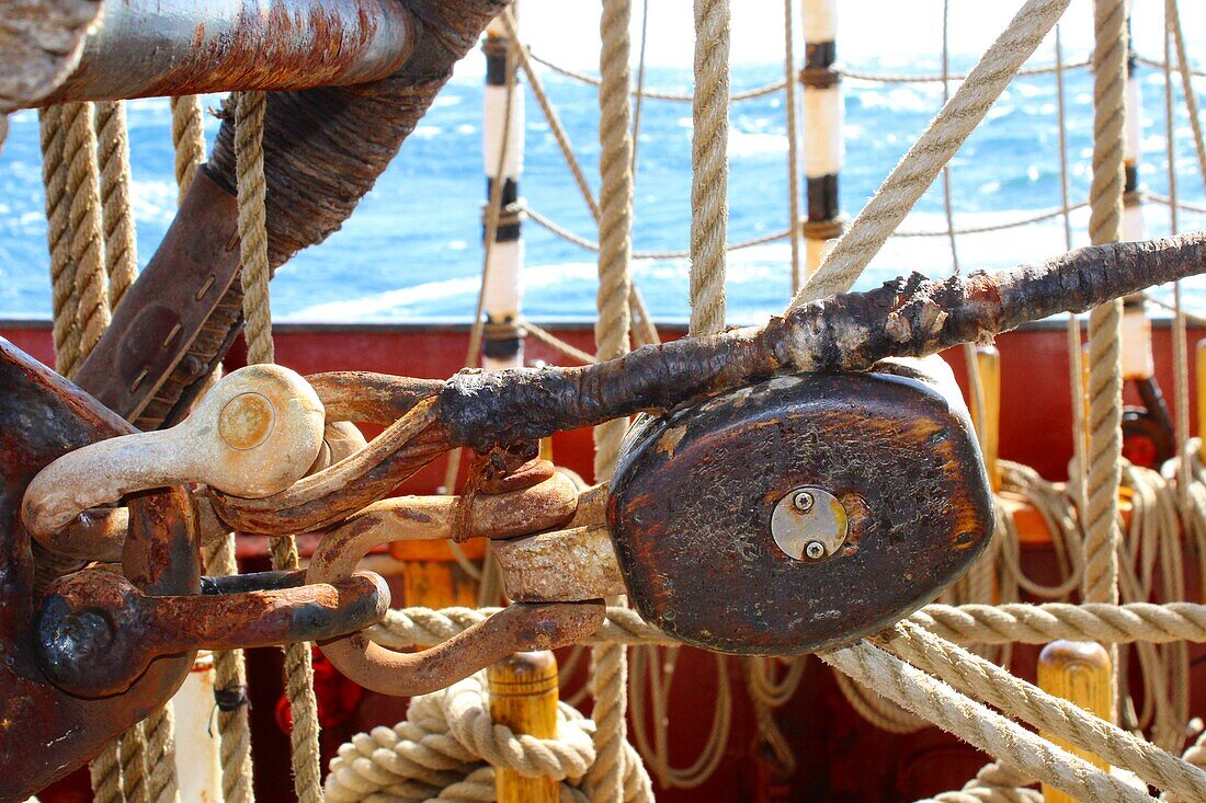 Mit dem Segelschiff auf der Nordsee