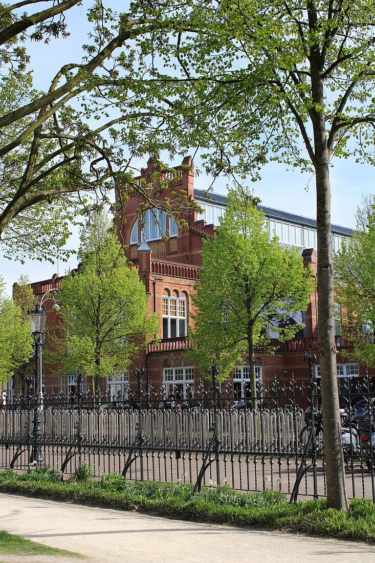 Garten am Rijksmuseum, Amsterdam, Niederlande