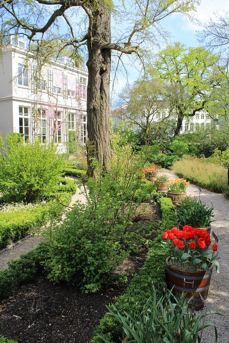 Hortus Botanicus Amsterdam, Niederlande