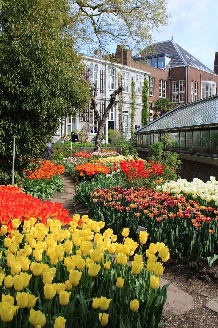 Hortus Botanicus Amsterdam, Niederlande