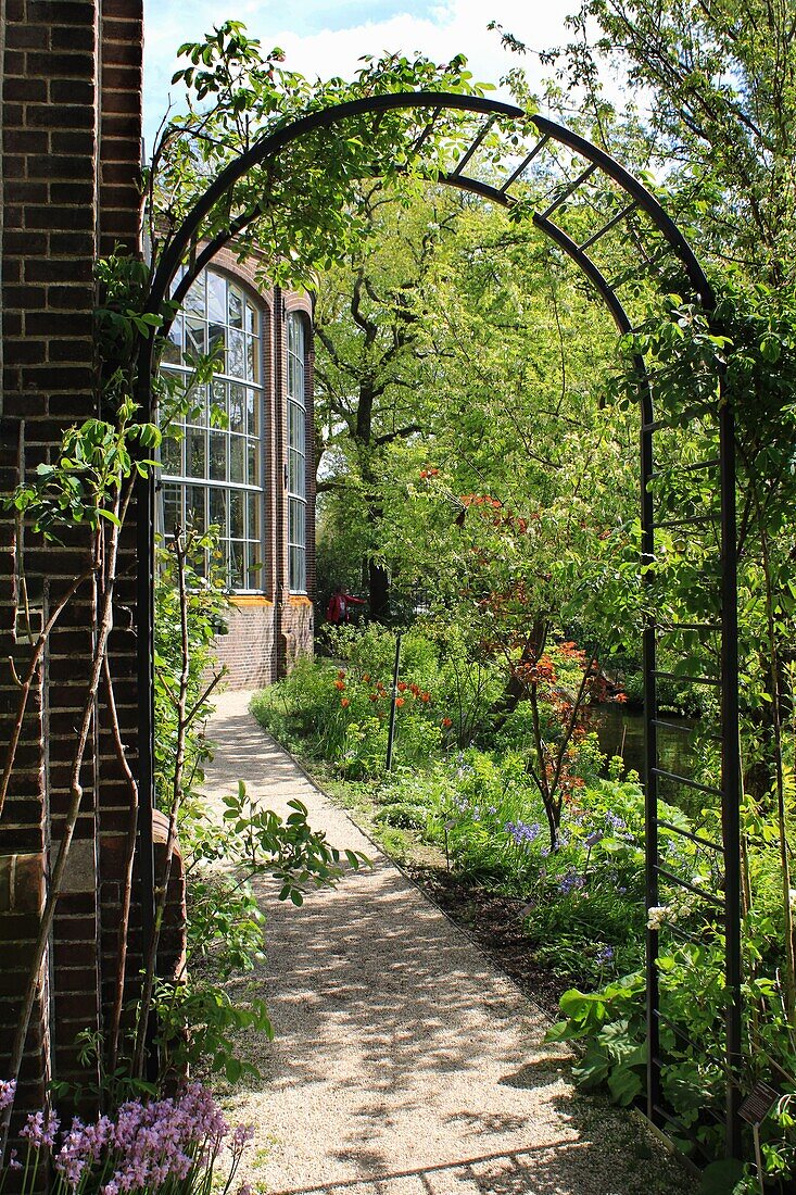 Hortus Botanicus Amsterdam, Niederlande