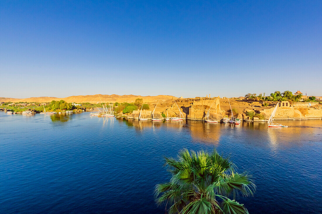  View of the Nile, here the Nile section near Aswan, Egypt, with typical boats and landscape 