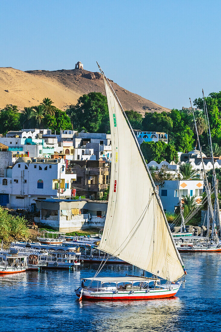  View of the Nile, here the Nile section near Aswan, Egypt, with typical boats and buildings 