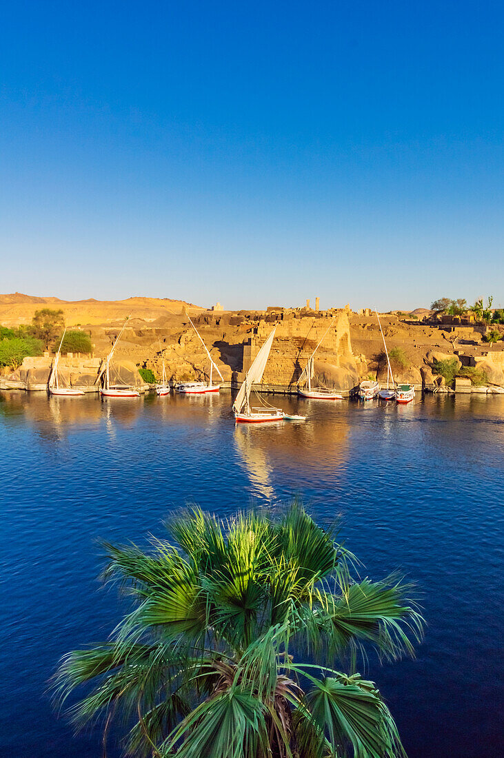  View of the Nile, here the Nile section near Aswan, Egypt, with typical boats and landscape 