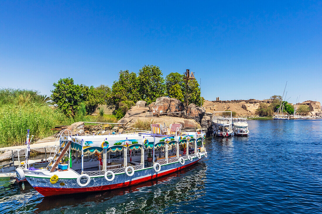  Nile section near Aswan, Egypt, with typical boats  