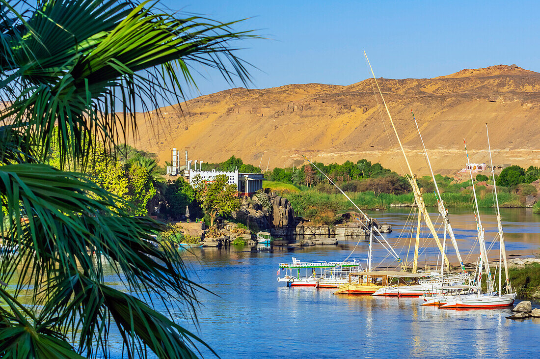 Blick auf den Nil, hier der Nilabschnitt bei Assuan, Ägypten, typische Boote und Landschaft