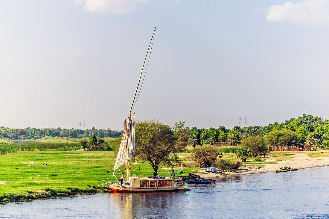 Segelboot am Nilufer, Fluss Nil, Ägypten