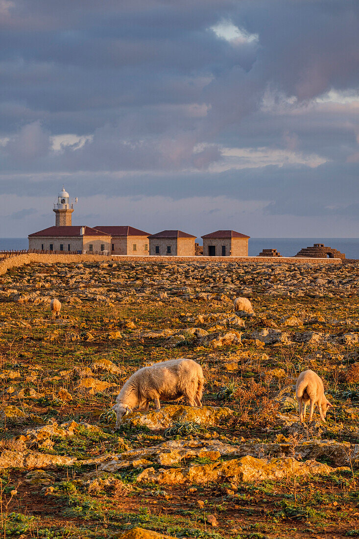  Leuchtturm am Kap Punta Nati, Ciutadella, Menorca, Balearen, Spanien 