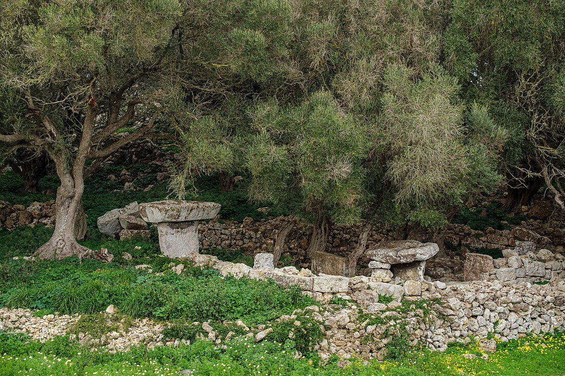 Torrellafuda, Taula shrine-enclosure,  Talayotic town, Ciutadella, Menorca, Balearic Islands, Spain