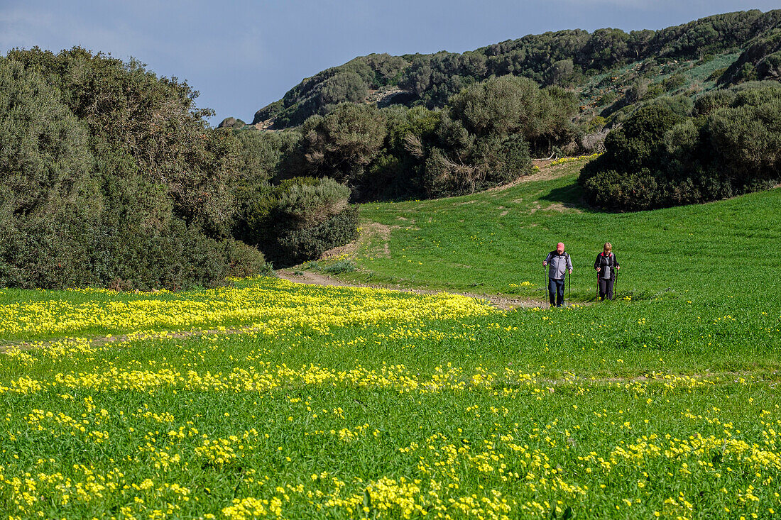 hiker walking the horse path, - Cami de Cavalls-,s'Albufera des Grau Natural Park, Menorca, Balearic Islands, Spain