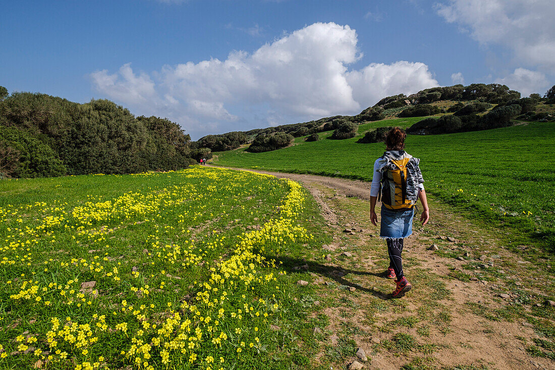 Wanderer auf dem Pferdeweg, Cami de Cavalls, Naturpark s'Albufera des Grau, Menorca, Balearen, Spanien